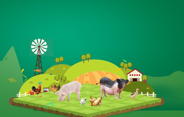 人生就是博养殖成本更低、更赚钱，做高性价比饲料领导者