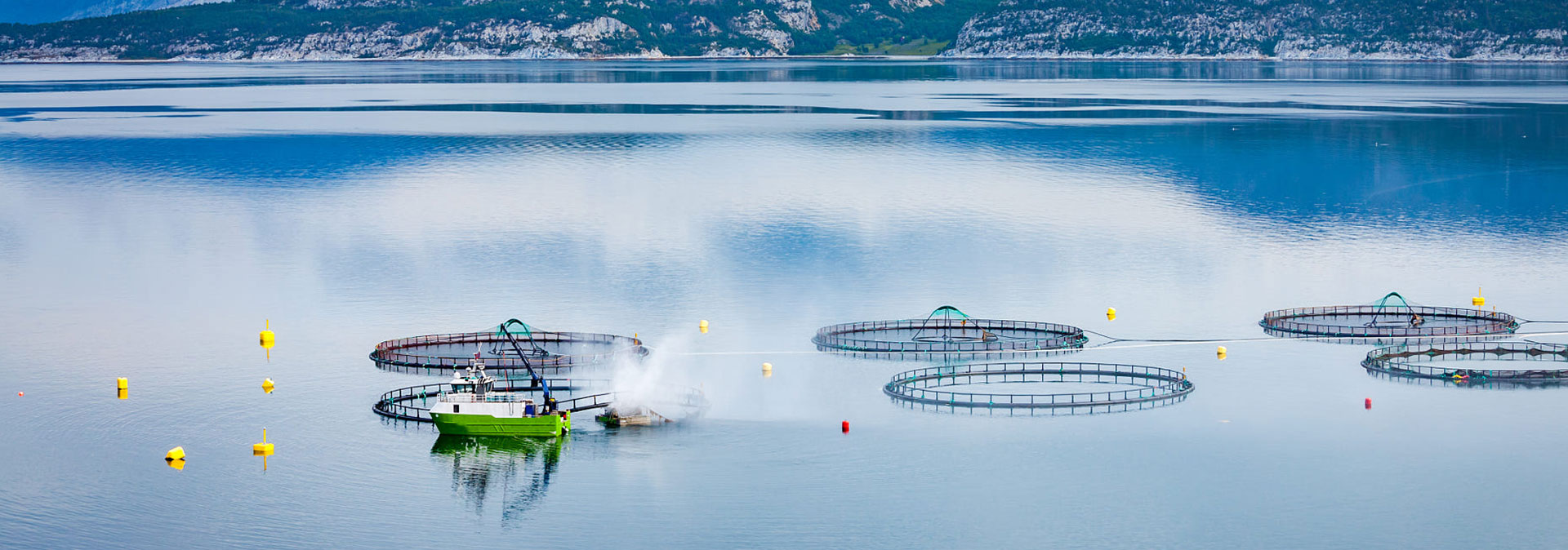 人生就是博养殖成本更低、更赚钱